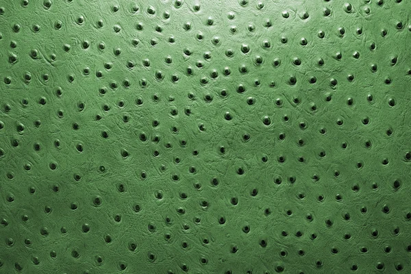 Zielony skór strusich — Zdjęcie stockowe