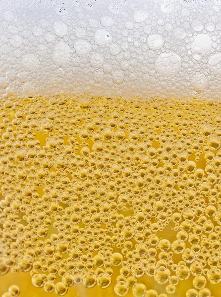 Golden bier — Stock Photo, Image