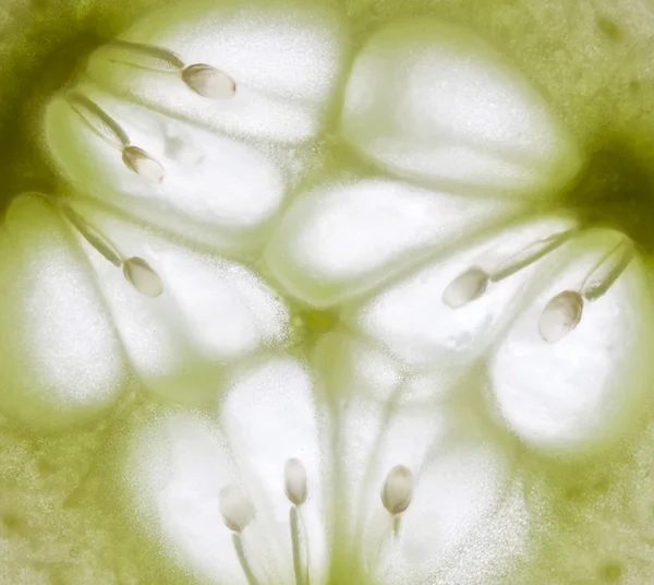 Fatia de pepino macro fundo verde — Fotografia de Stock