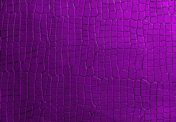グリッドの背景紫テクスチャ — ストック写真