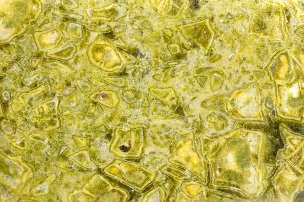 Makro sesja Green Jasper — Zdjęcie stockowe