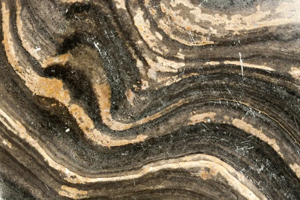 Stromatolite fond de pierre — Photo
