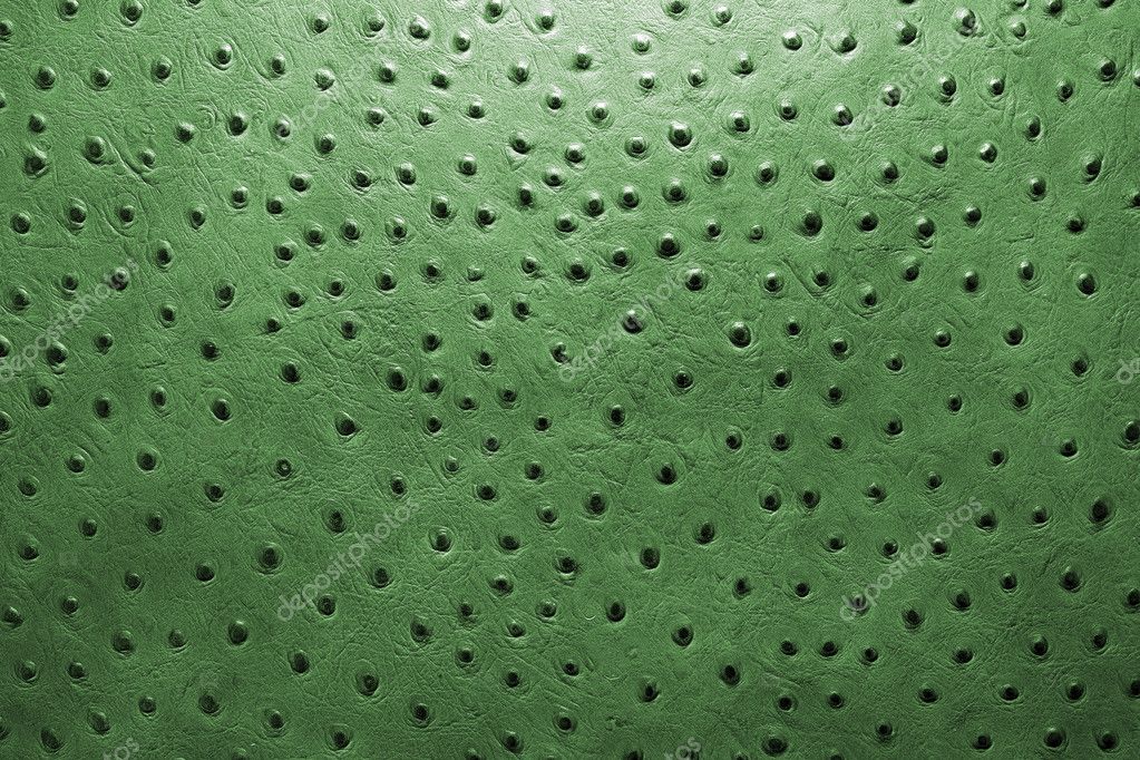 Green ostrich leather Stock Photo by ©jurajkovac 9252105