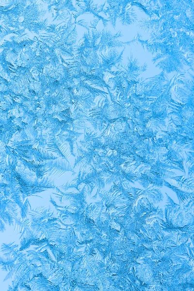 在一个窗口上结霜冰花卉 — 图库照片