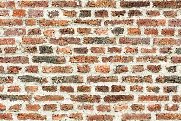 stock image Brick wall texture