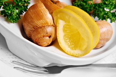 salyangoz plaka üzerinde bir limonlu