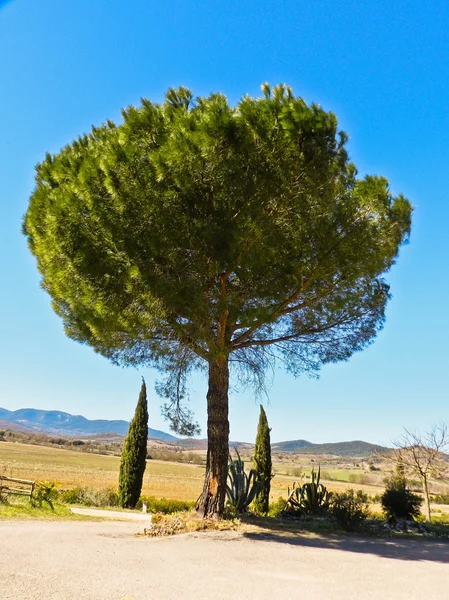 Toskana görünümü