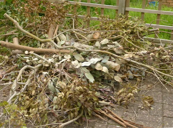 Gartenabfall — Stockfoto