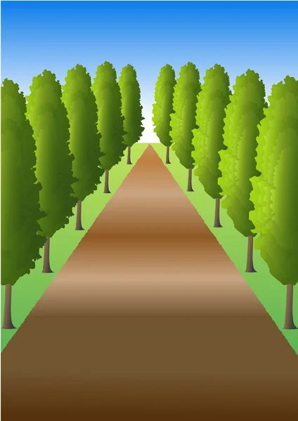 Caminho com árvores — Fotografia de Stock
