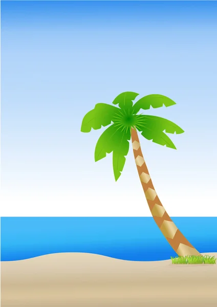 Beach resort with palm tree — Stock Photo, Image