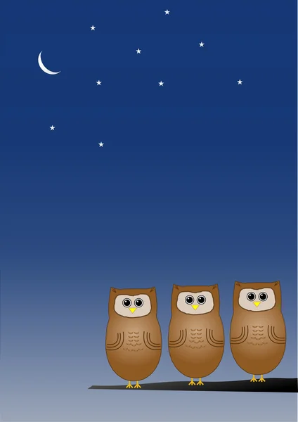 Owls at night — Stock Photo, Image