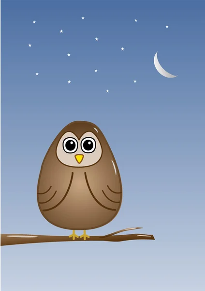 Owl at night — Stock Photo, Image