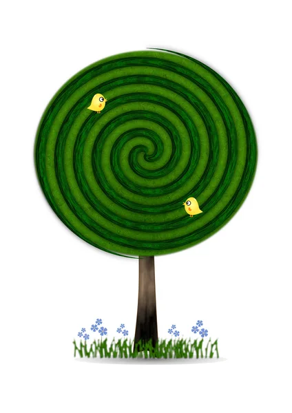 Spiralne drzewo — Zdjęcie stockowe