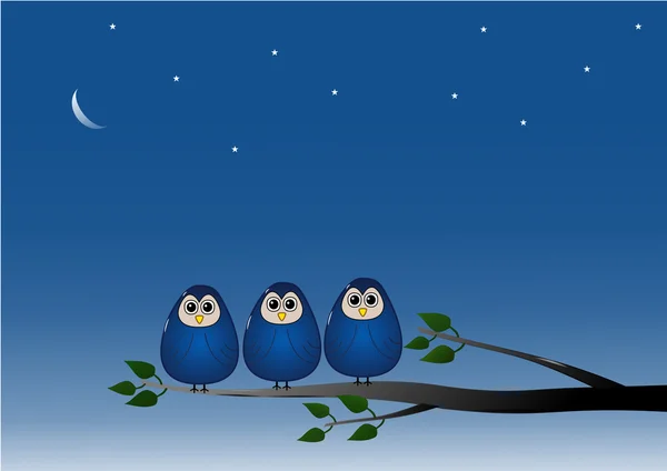 Owls at night — Stock Photo, Image