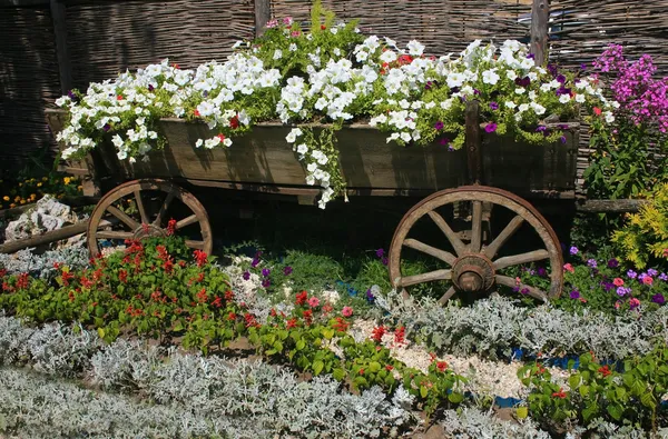 Bed with flowers issued old rural style — Stock Photo, Image