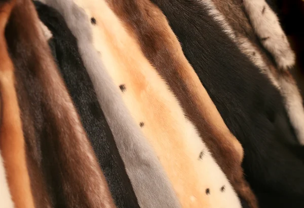 Fur of mink of different colours