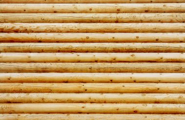 Wall from new pine logs clipart