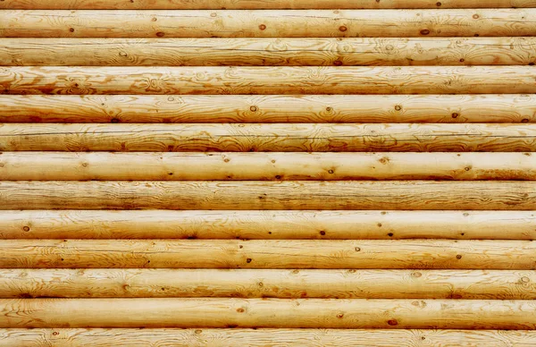 Wall from new pine logs — Stock Photo, Image