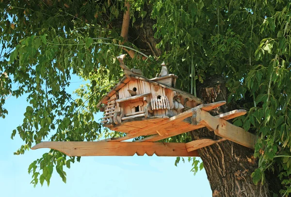 Özel starling house on ağacının kocakarı — Stok fotoğraf