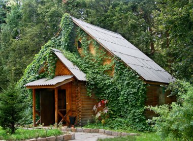 The house on background of wood.