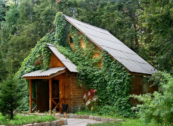 The house on background of wood. — Stock Photo, Image