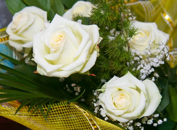 Róże białe — Zdjęcie stockowe