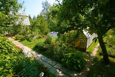 Garden with blossoming flowers house and trees clipart