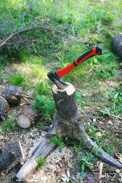 Axt schneidet Brennholz auf Stumpf — Stockfoto