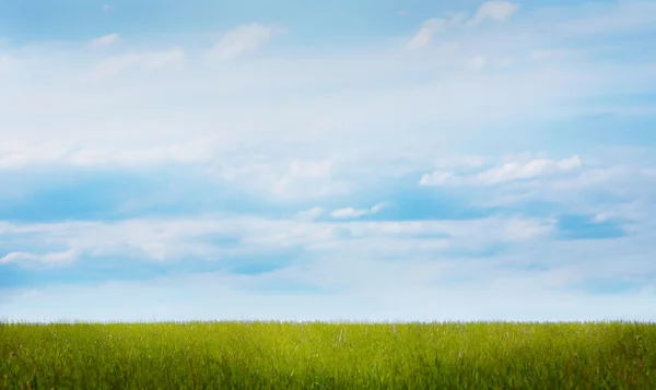 Beautiful sky and green glade — Stock Photo, Image
