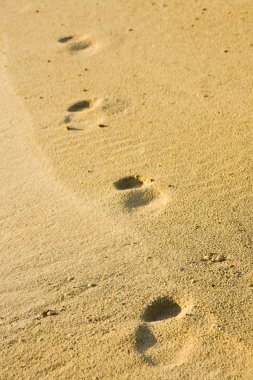 Traces on yellow sand clipart