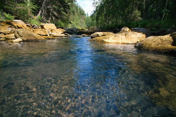 Річка деревини — стокове фото