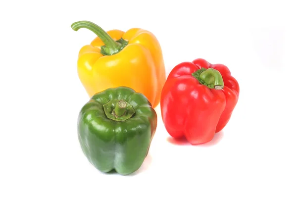 stock image Colour siliculose pepper