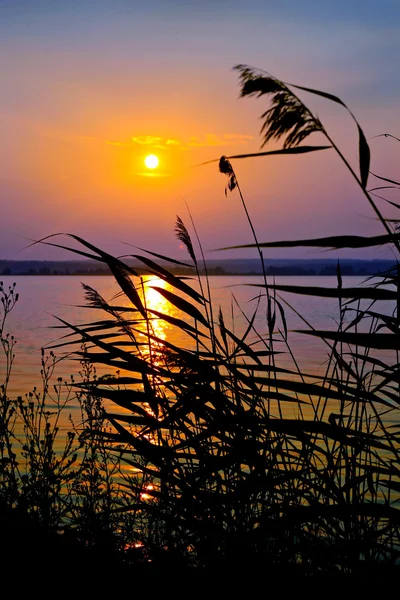 stock image Sunset on the bank of lake