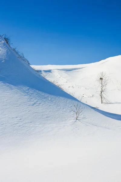 Stock image Winter landscape with snow-covered hills