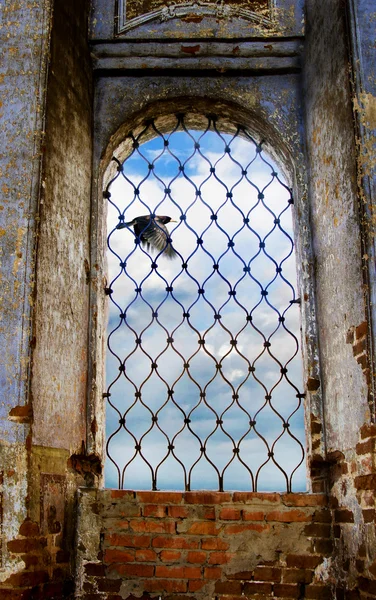 교회 창문 — 스톡 사진