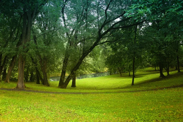 Деревянная поляна и река — стоковое фото