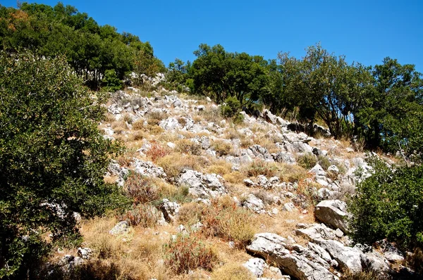 stock image The slope of the mountain.