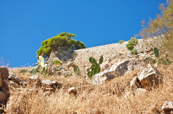 The walls of the ancient fortress.