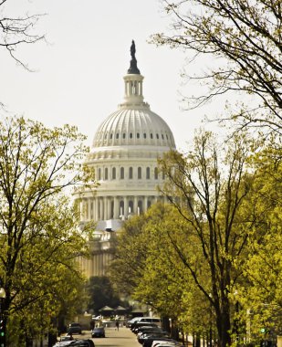 Washington D.C. Capitol clipart