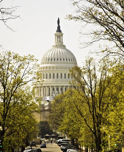 华盛顿特区国会大厦 免版税图库照片