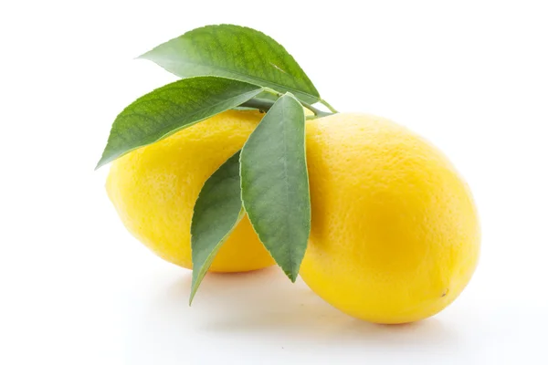 Zitrone mit Blättern isoliert auf weißem Hintergrund — Stockfoto