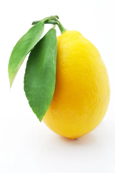 Zitrone mit Traufe isoliert auf weißem Hintergrund — Stockfoto