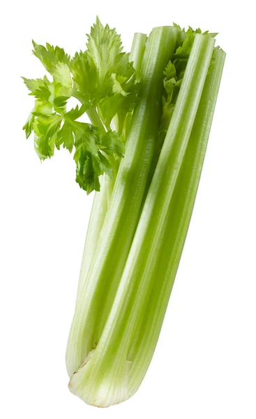 Čerstvě zelený celer izolované na bílém pozadí — Stock fotografie