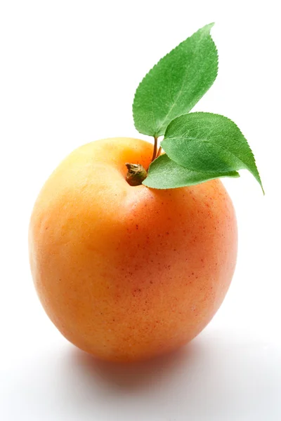 Aprikose. Früchte mit Blättern auf weißem Hintergrund. — Stockfoto