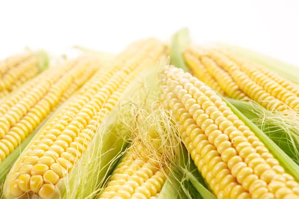Свежая кукуруза початки на белом фоне — стоковое фото