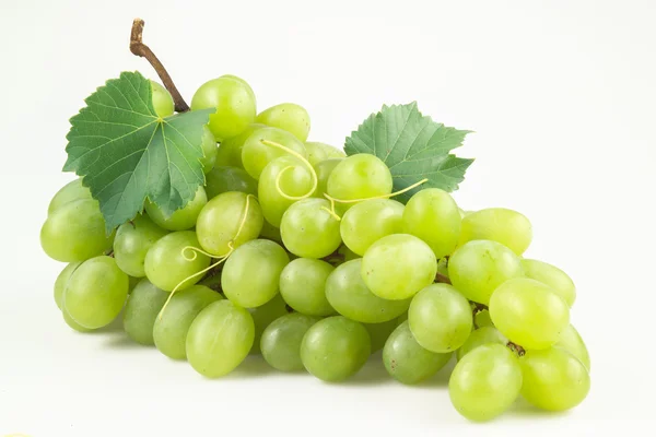 Färska gröna druvor med blad. isolerad på vit Stockbild