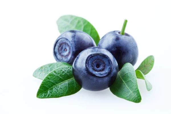 Blueberry. bilberries with leaves isolated — Stock Photo, Image