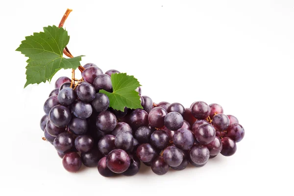 Donkere druif met bladeren. geïsoleerd op wit — Stockfoto