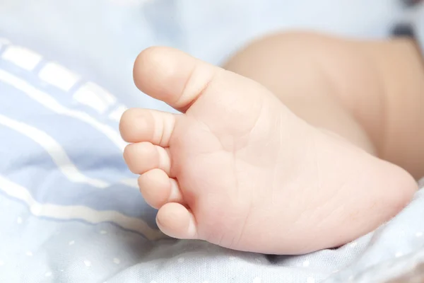 stock image Little foot of a newborn baby on blue