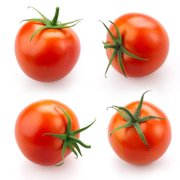 Tomat uppsättning isolerad på vit Stockbild